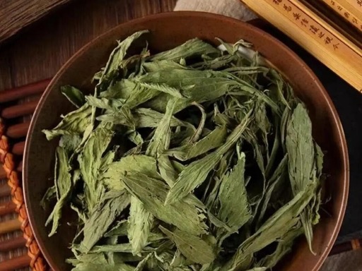 甜叶菊