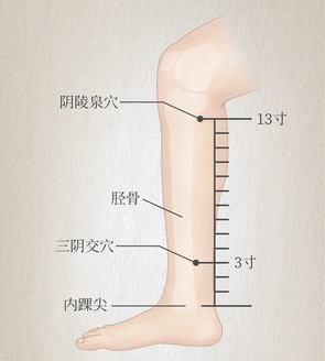 三阴交穴