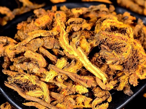 黄连片