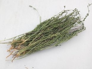 百蕊草