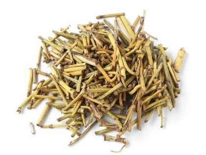 蜜麻黄