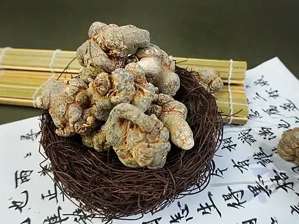 三七