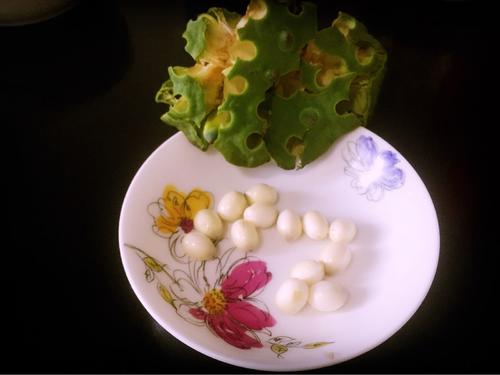 红枣莲子大麦茶