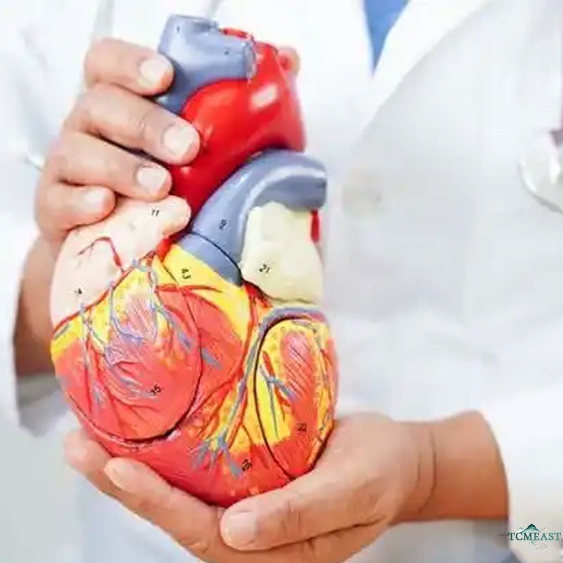 Heart Health in Summer: TCM Fire Season Guide