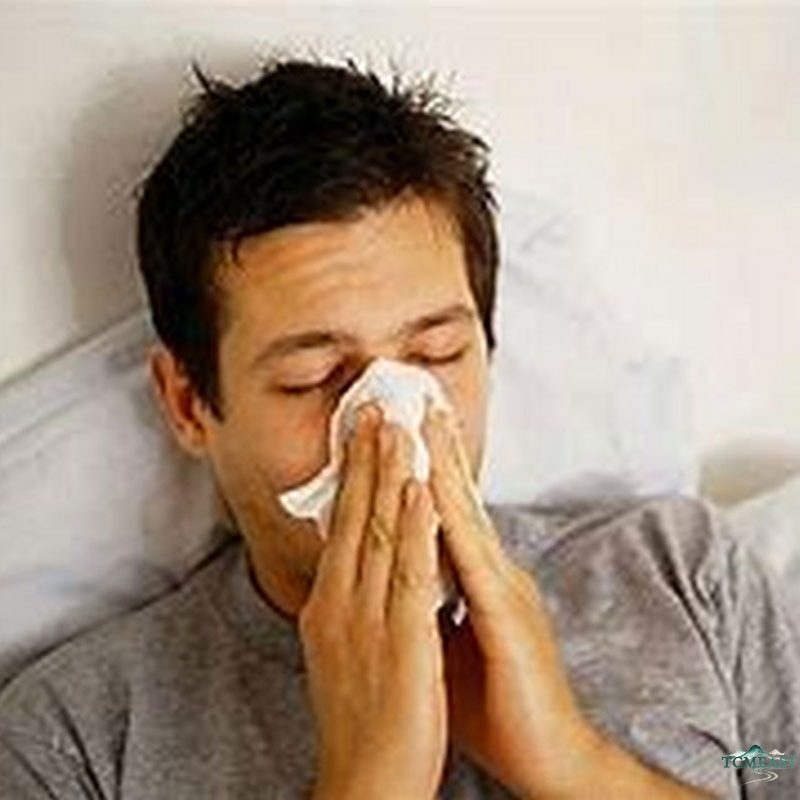 Autumn Immune Support: TCM Prepares for Cold Season