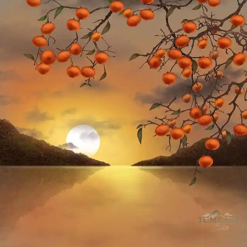 Autumn Allergies from a TCM View: Wind, Dampness and Immune Balance