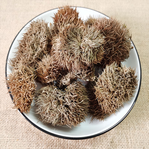 栗毛球